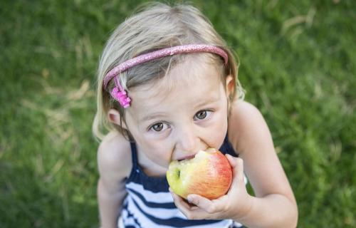 Apple season