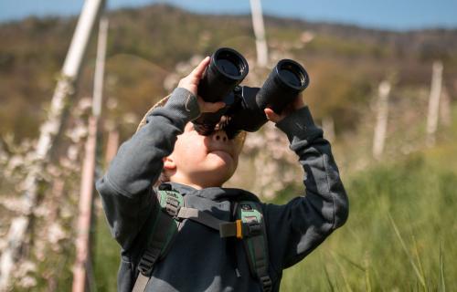 Big and small Explorers-Club