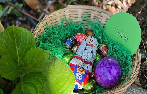 Grafenstein’s Easter Bunny Meet-Up