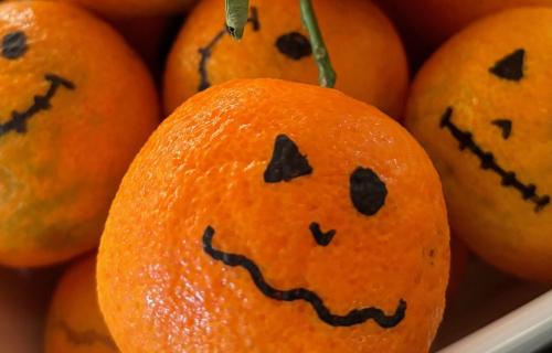 Halloween im Grafenstein