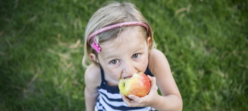 Apple season