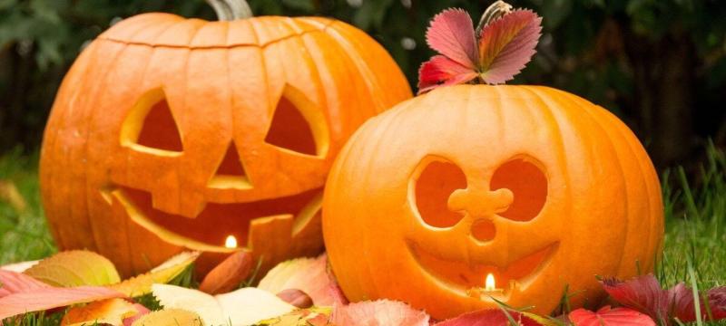 Last Minute Angebote für coole Mini Forscher und Halloweenfans